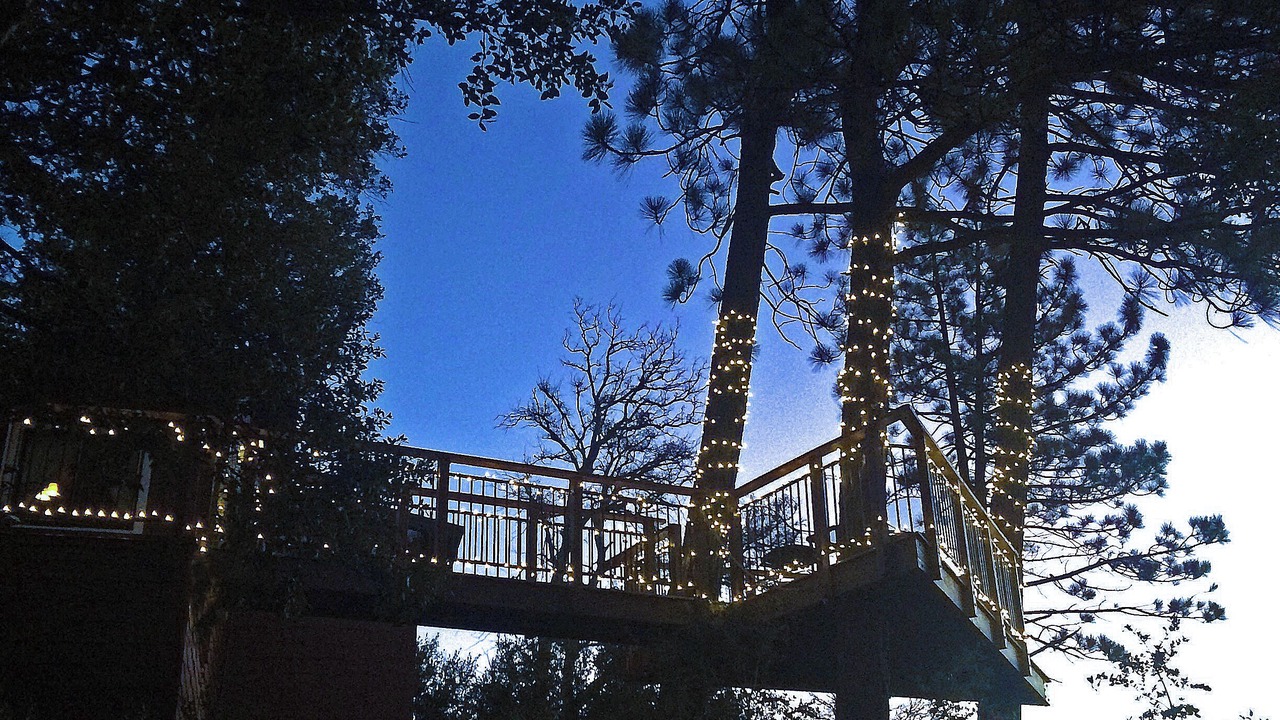 Photo of Others in Julian