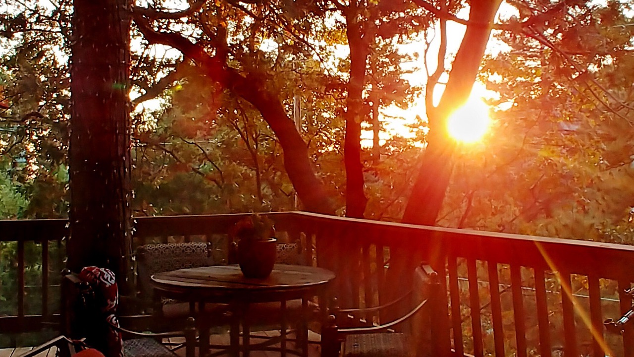 Photo of Patio Balcony in Fern Valley