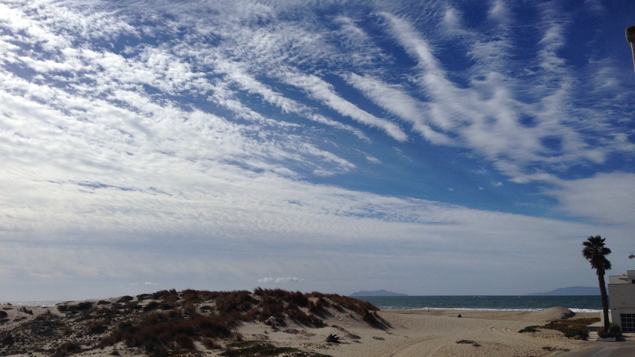 Photo of Others in Oxnard Shores