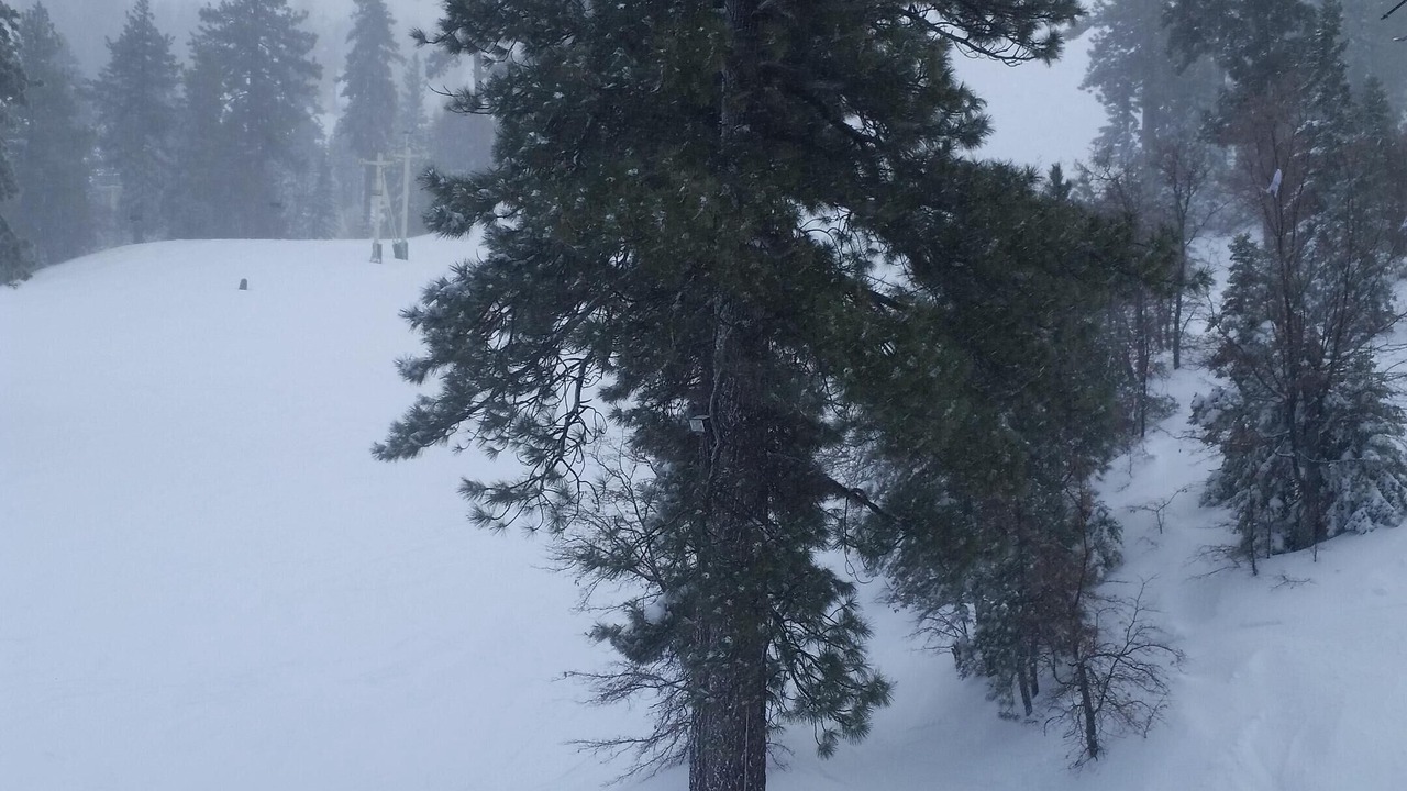 Photo of Others in Upper Moonridge