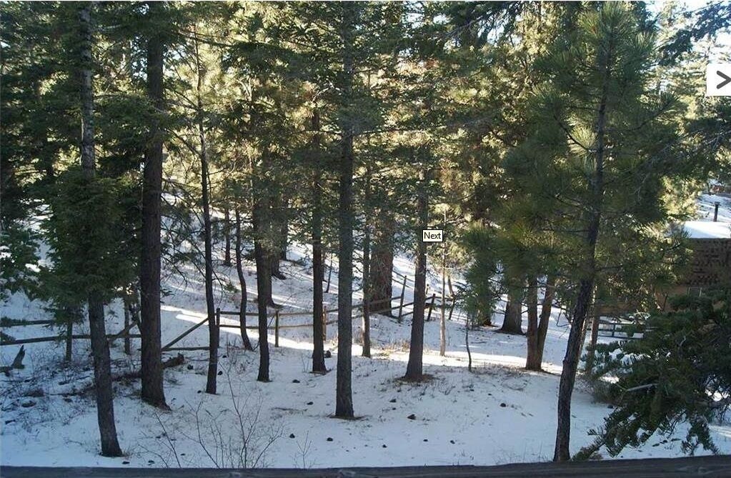 Photo of Others in Upper Moonridge
