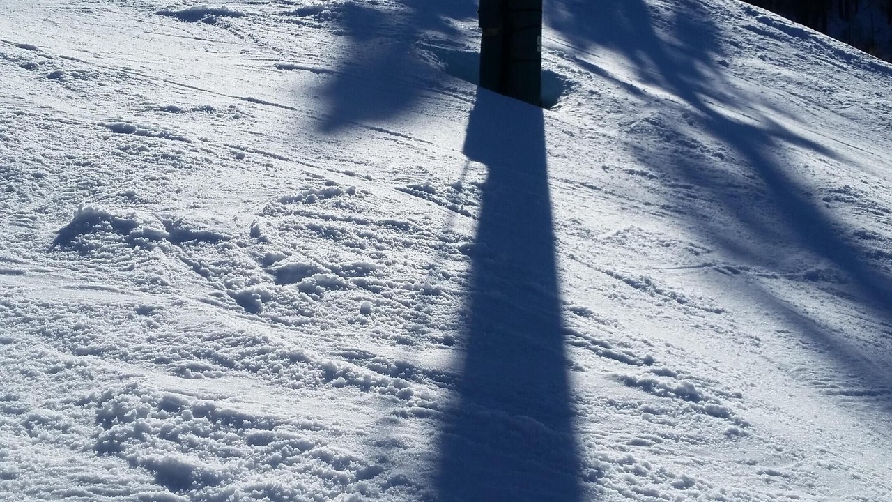 Photo of Others in Upper Moonridge