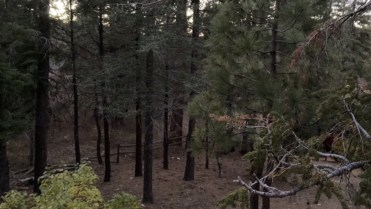 Photo of Others in Upper Moonridge