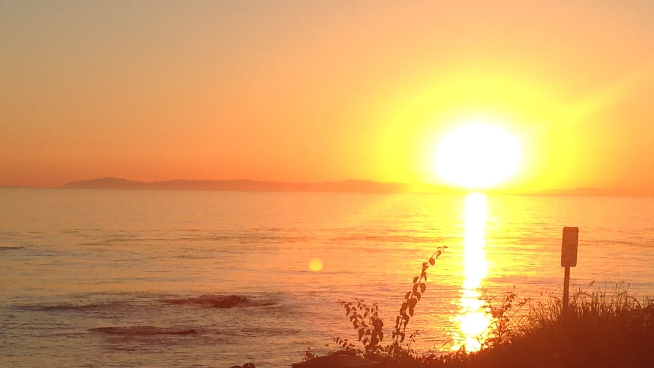 Photo of Others in Monarch Beach