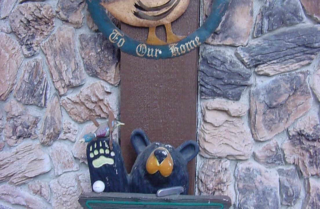 Photo of Outdoor in North Wawona