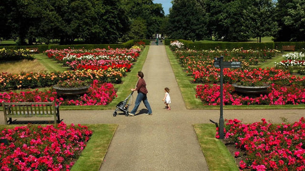 Photo of Outdoor in Maida Vale
