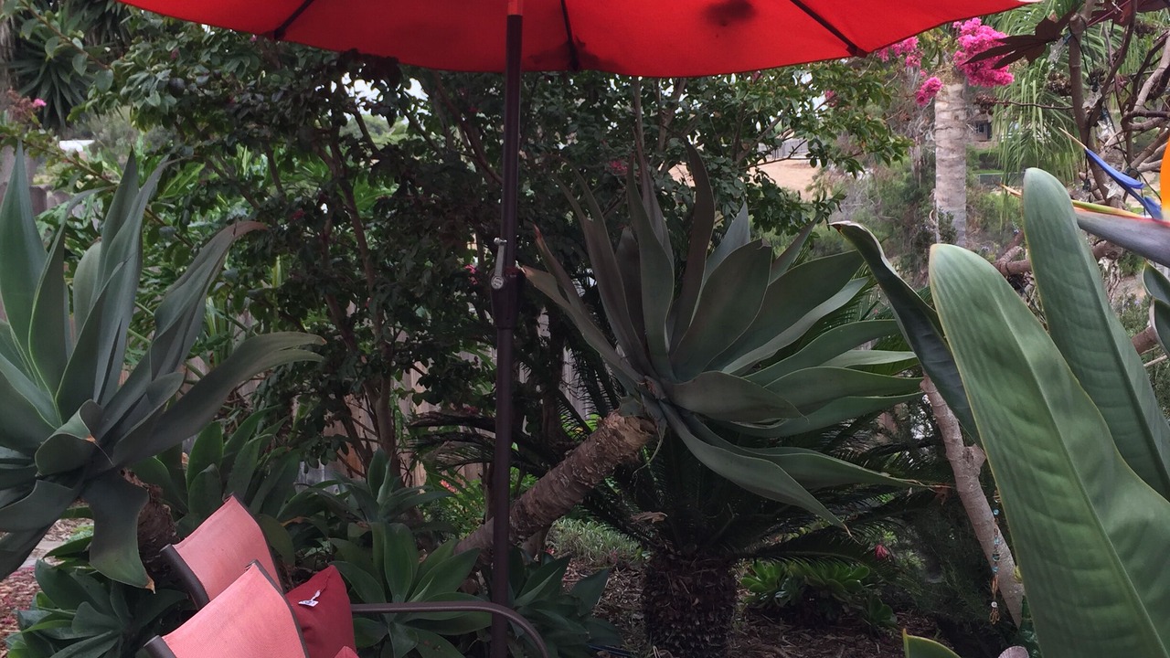 Photo of Outdoor in Loma Alta