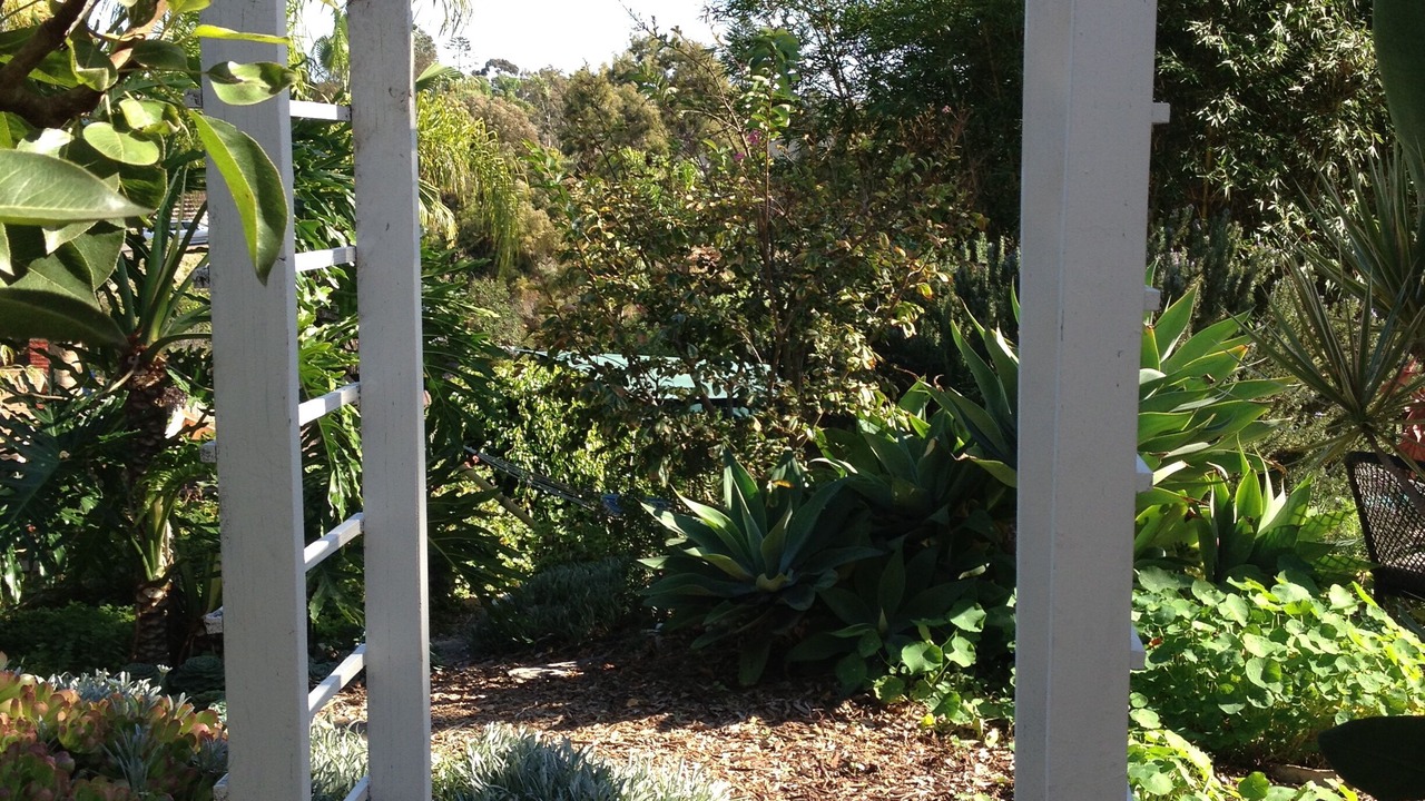 Photo of Outdoor in Loma Alta