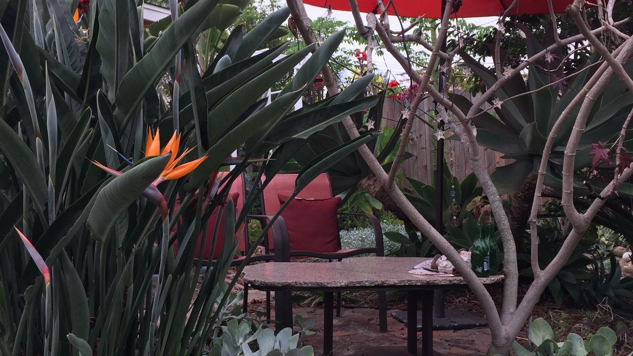 Photo of Outdoor in Loma Alta