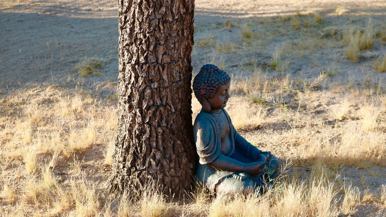 Photo of Others in Joshua Tree