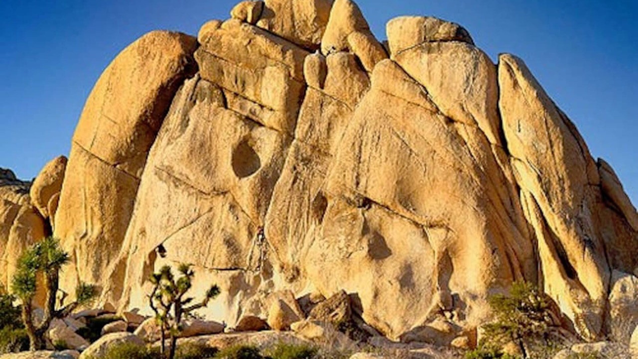 Photo of Others in Joshua Tree
