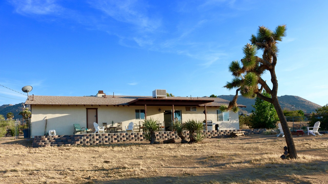 Photo of Others in Joshua Tree