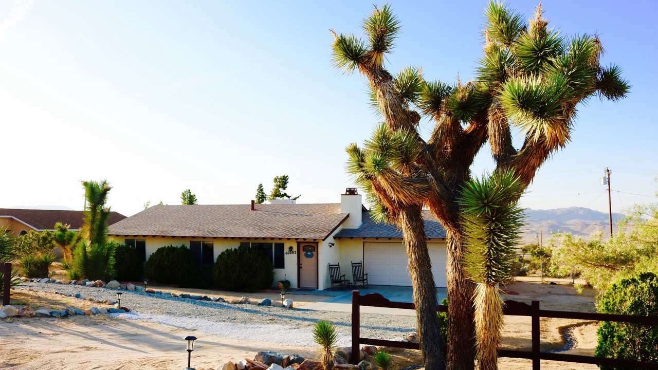 Photo of Others in Joshua Tree