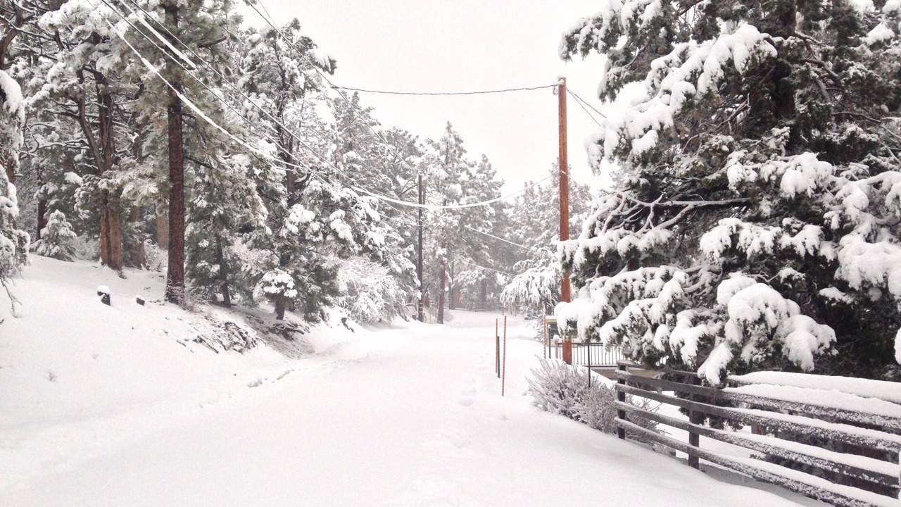 Photo of Others in Big Bear City