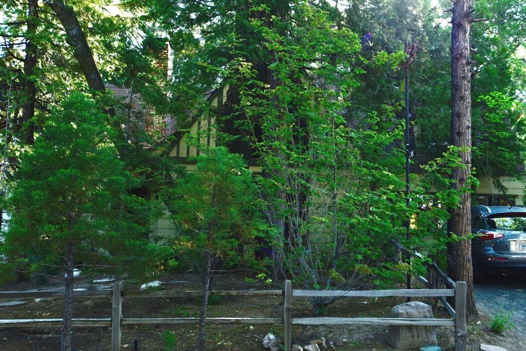 Photo of Others in Cedar Glen