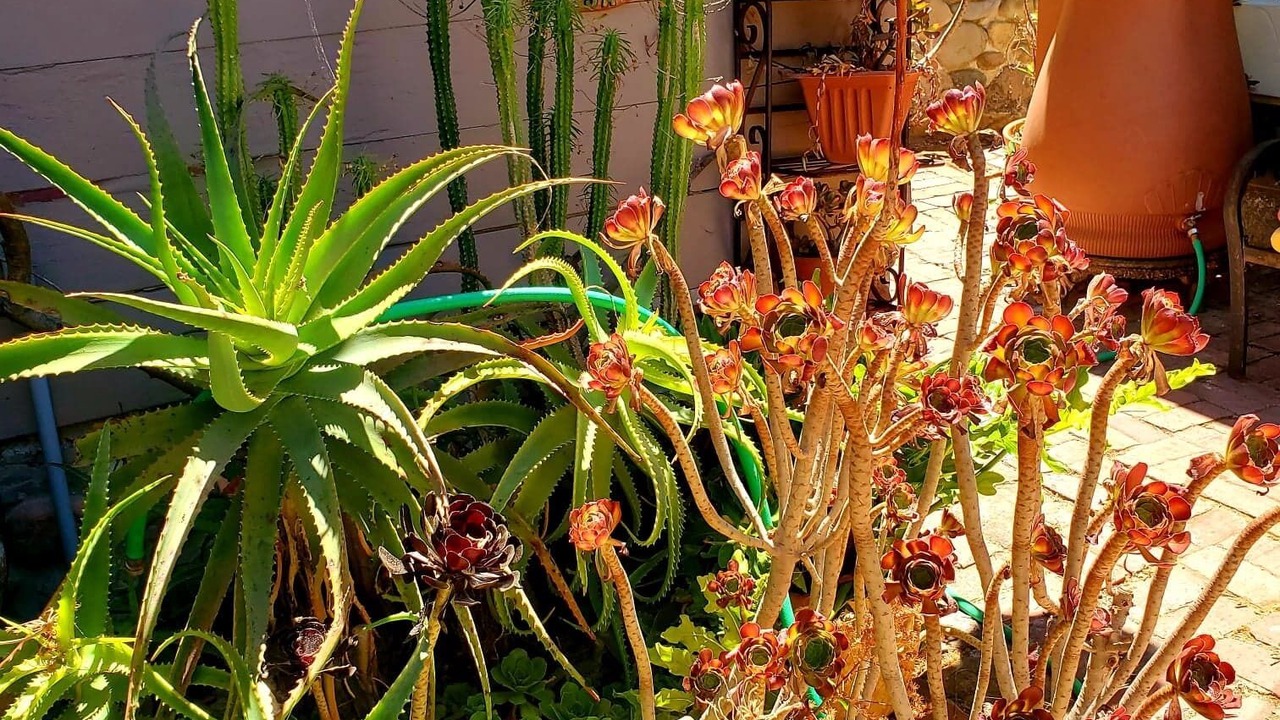 Photo of Outdoor in Fernwood