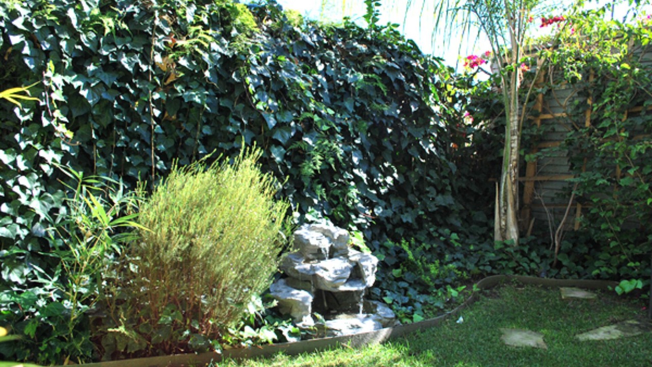 Photo of Outdoor in Hollywood