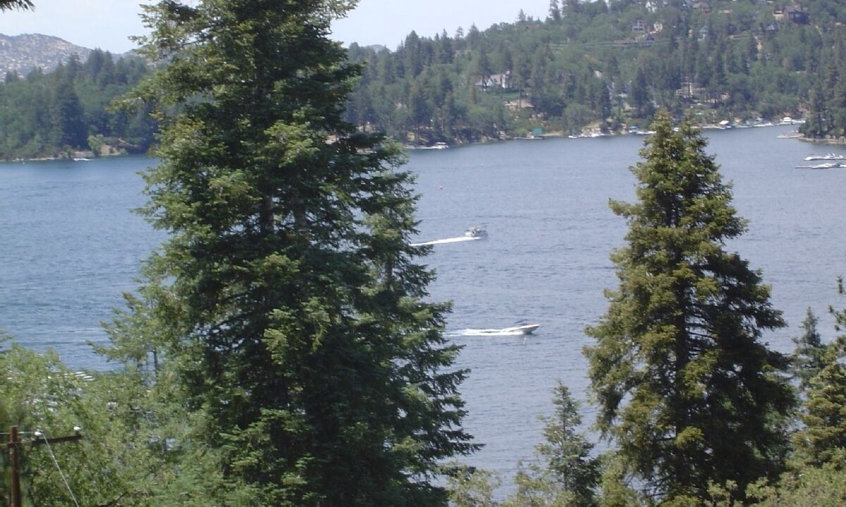 Photo of Outdoor in Cedar Glen