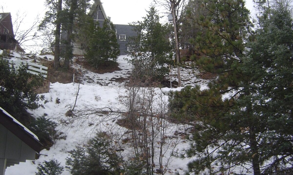Photo of Others in Cedar Glen