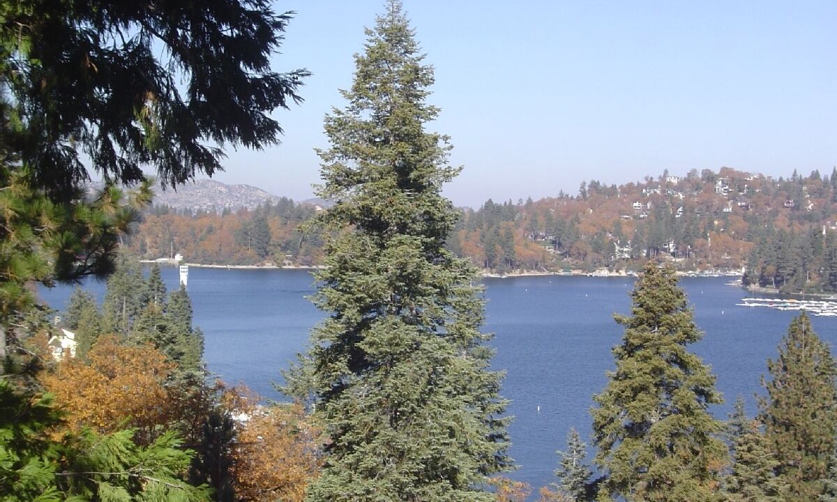 Photo of Outdoor in Cedar Glen