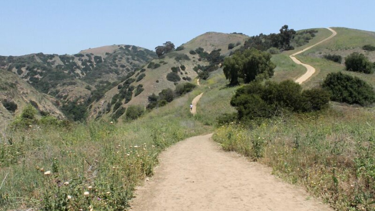 Photo of Others in Whittier