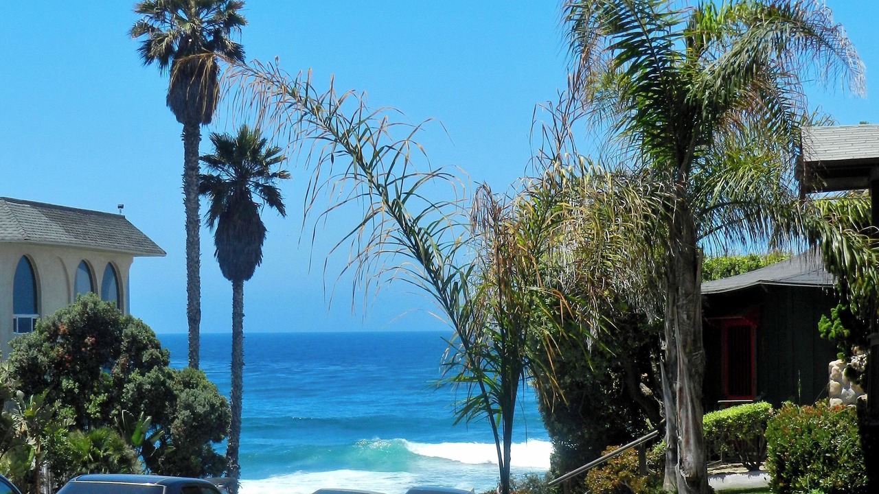 Photo of Others in Beach Barber Tract