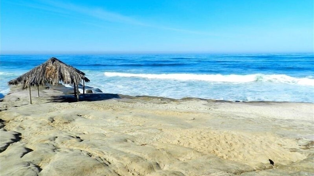 Photo of Others in Beach Barber Tract