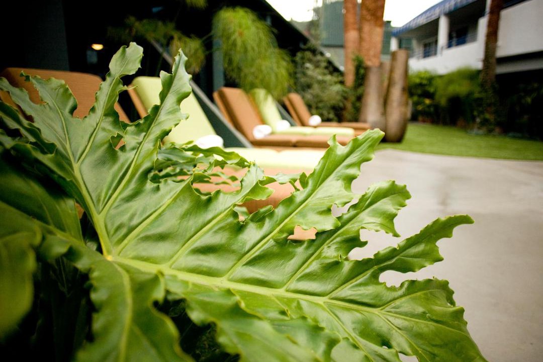Photo of Others in Park Estates