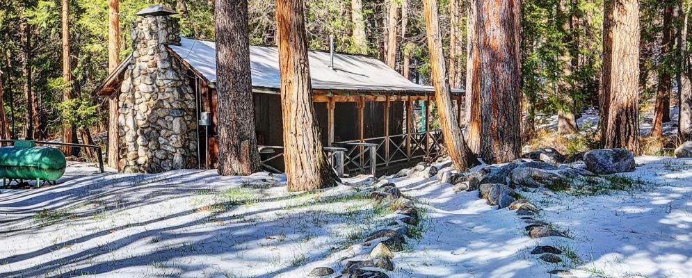 Photo of Others in Idyllwild