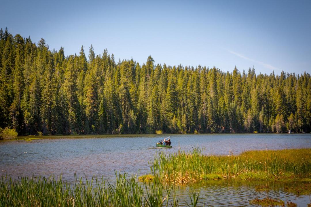 Photo of Others in Emigrant Gap