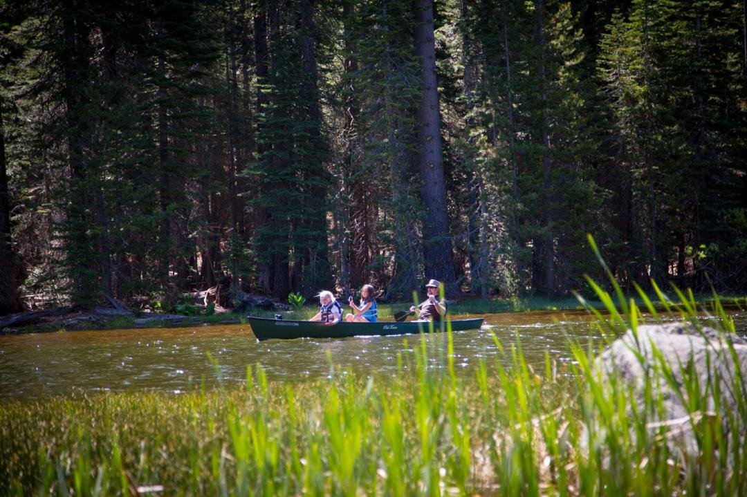 Photo of Others in Emigrant Gap