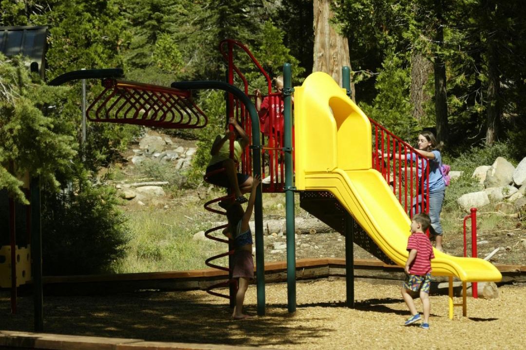 Photo of Others in Emigrant Gap