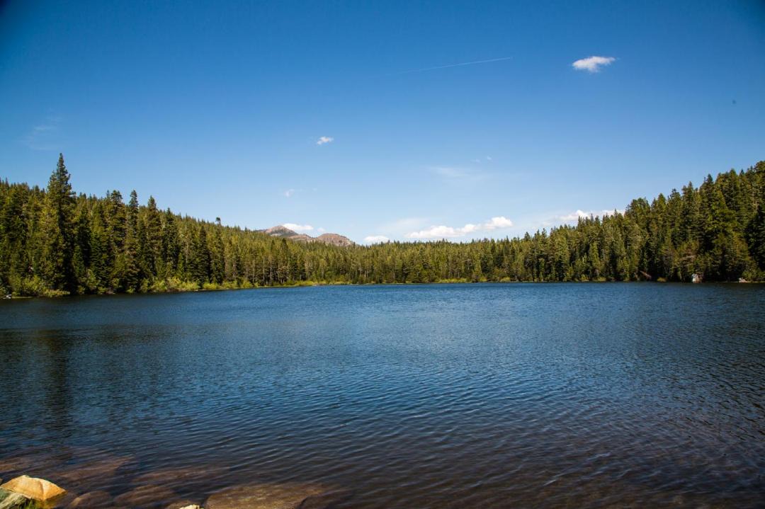 Photo of Others in Emigrant Gap