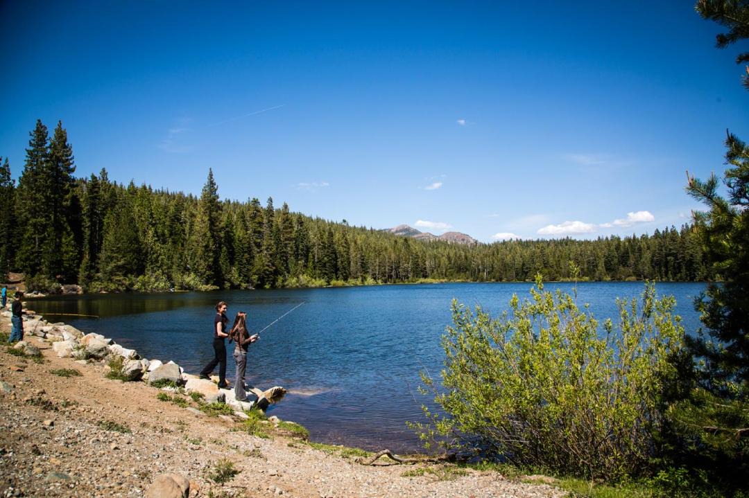 Photo of Others in Emigrant Gap