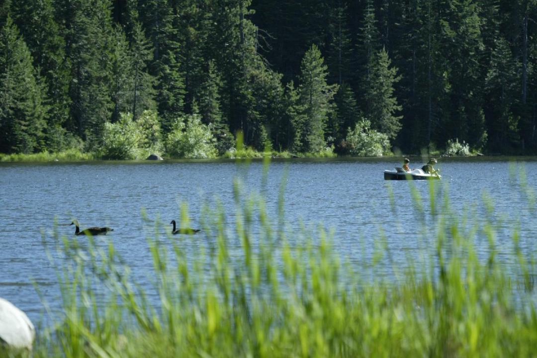 Photo of Others in Emigrant Gap