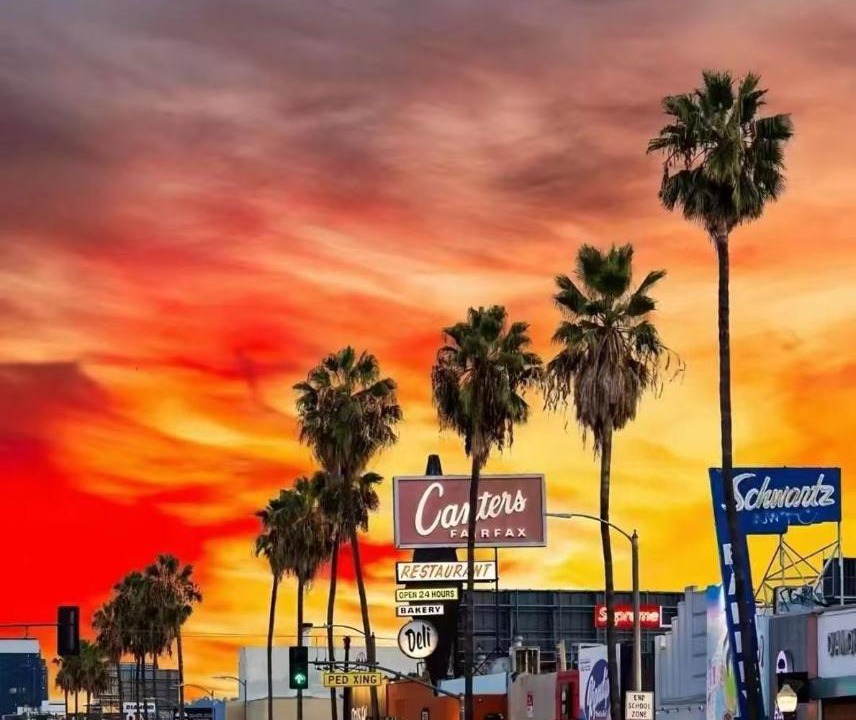 Photo of Others in Elysian Heights