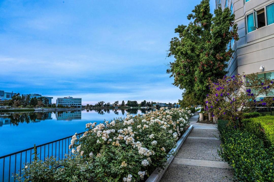 Photo of Others in Redwood Shores