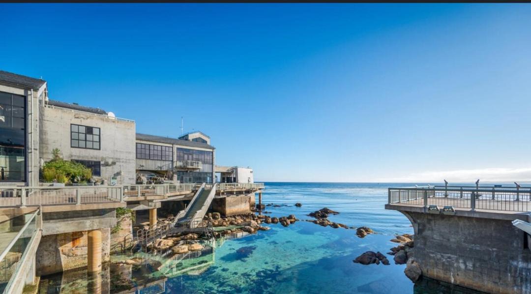 Photo of Buildings in Marina