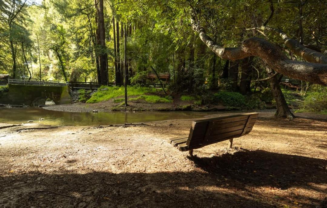Photo of Others in Mill Valley