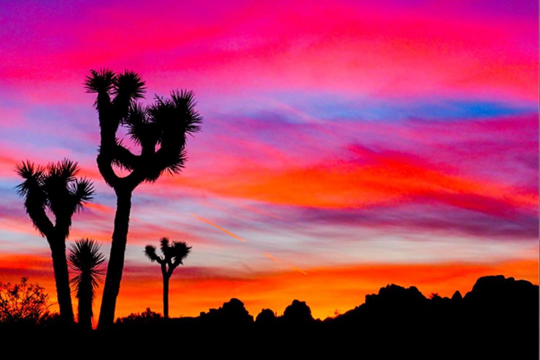 Photo of Others in Twentynine Palms