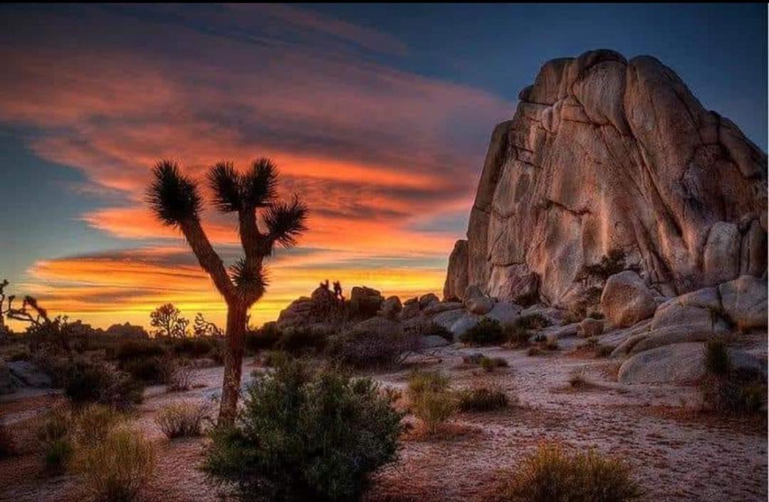 Photo of Others in Twentynine Palms