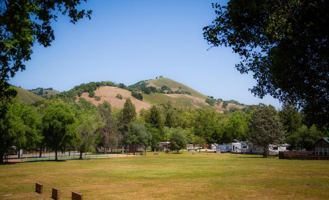 Photo of Others in Morgan Hill