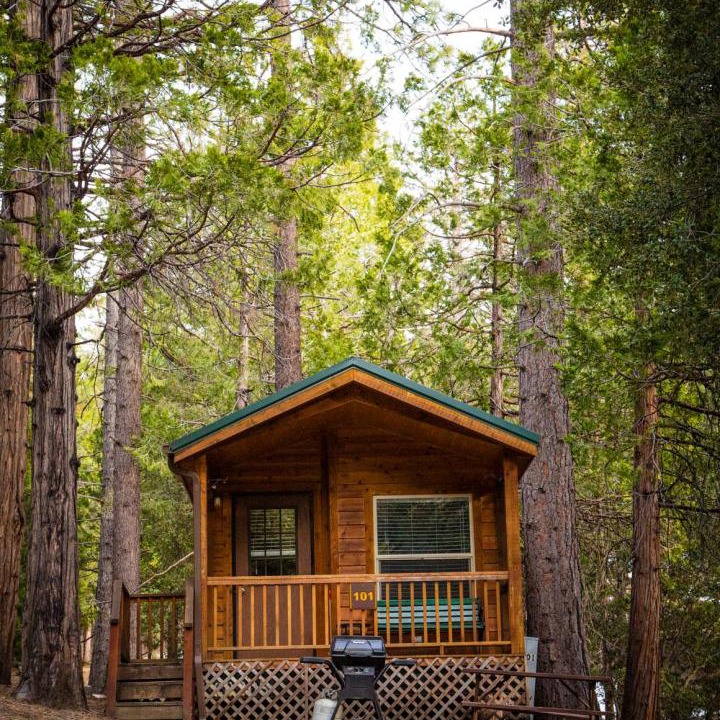 Photo of Others in Pine Cove