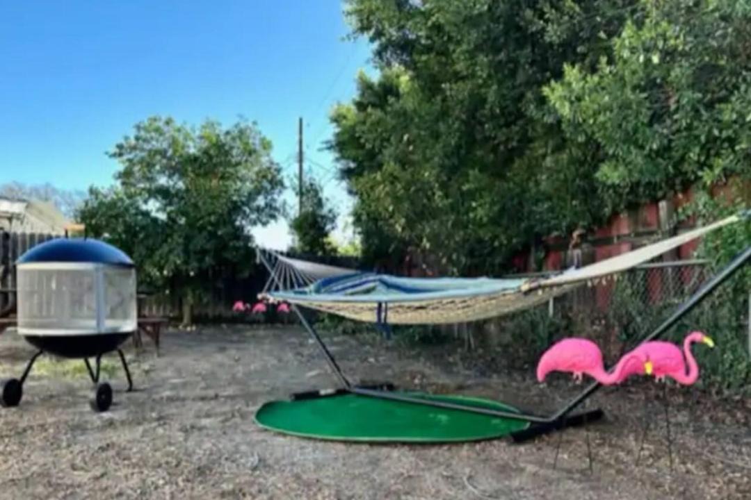 Photo of Others in Panorama City