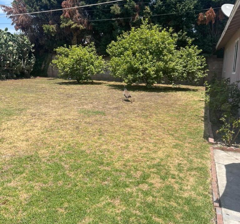 Photo of Others in East Pasadena