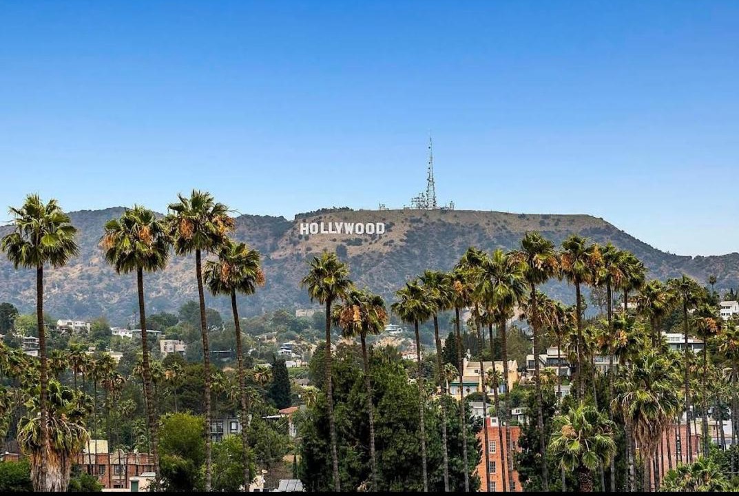 Photo of Others in Hollywood