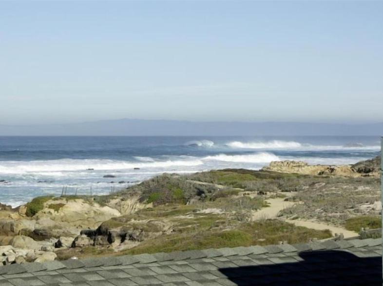 Photo of Others in Pacific Grove