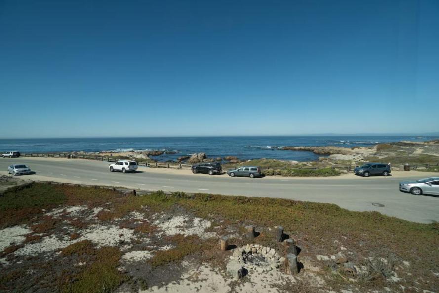 Photo of Others in Pacific Grove