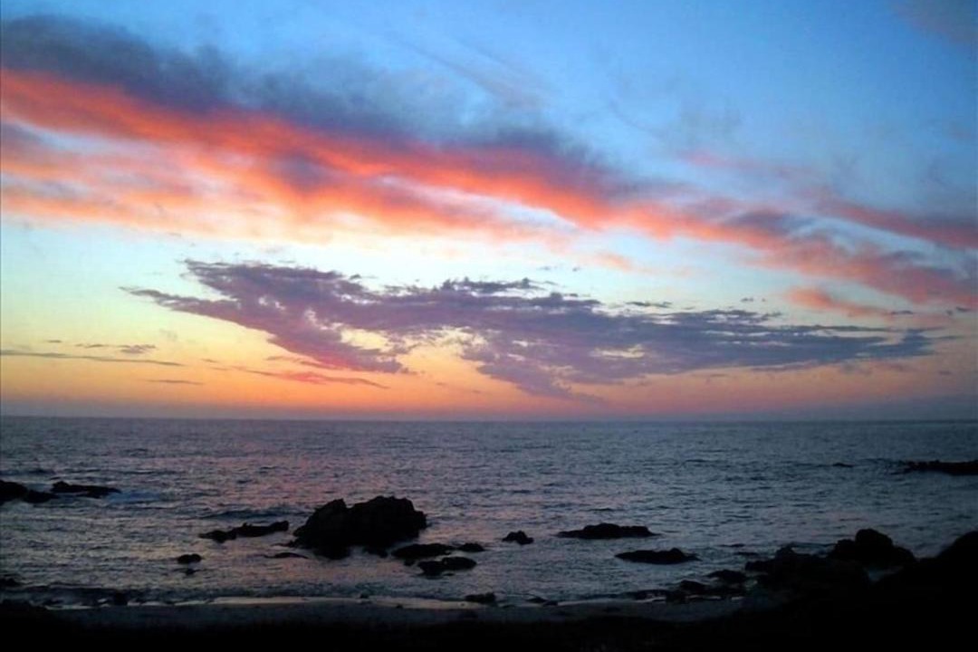 Photo of Others in Pacific Grove