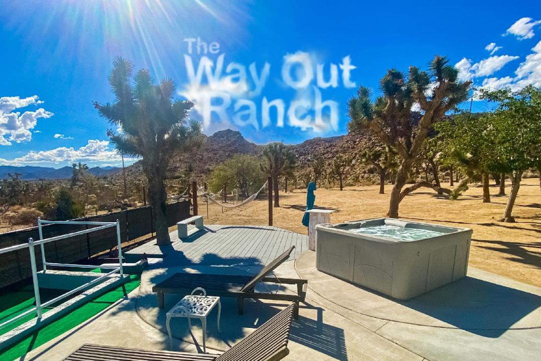 Photo of Others in Joshua Tree